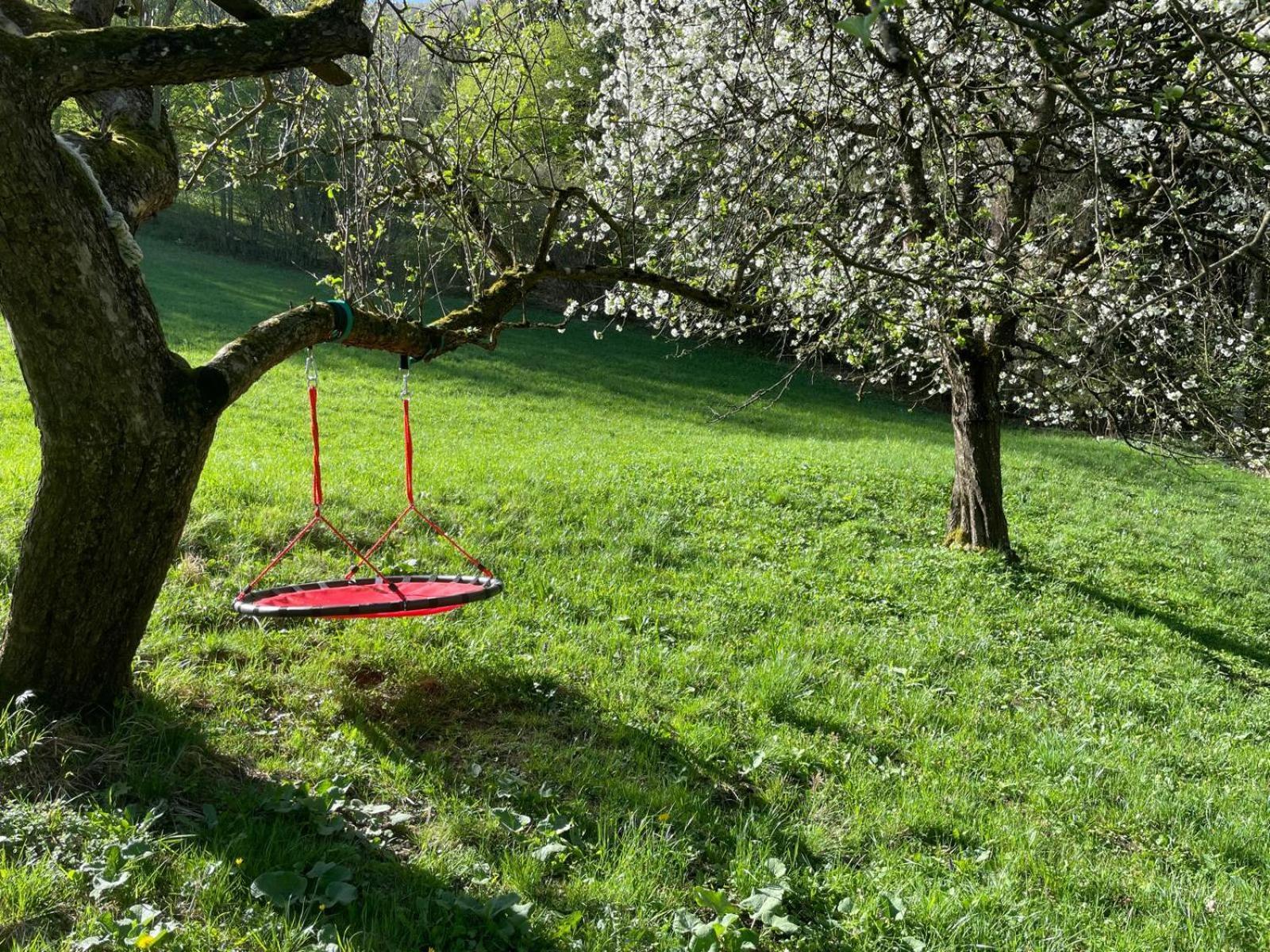 Ferienhaus Holzer Stressless Traisen المظهر الخارجي الصورة
